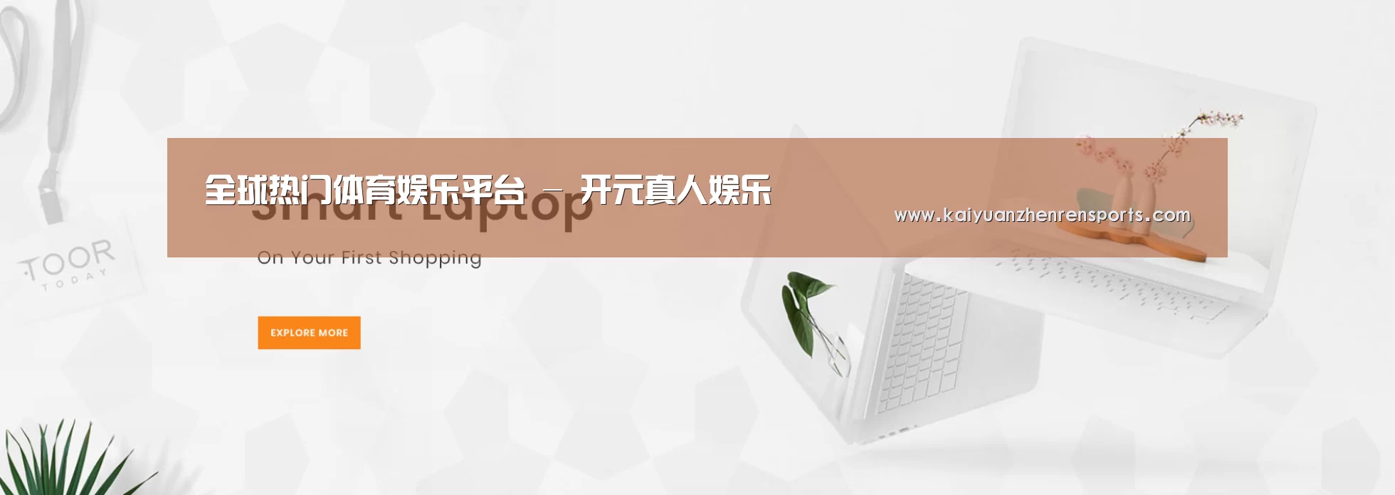 某某网络科技有限公司
